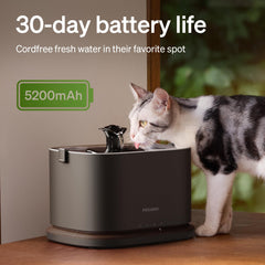 PETLIBRO Dockstream 2 battery-powered unit for hydration anywhere.