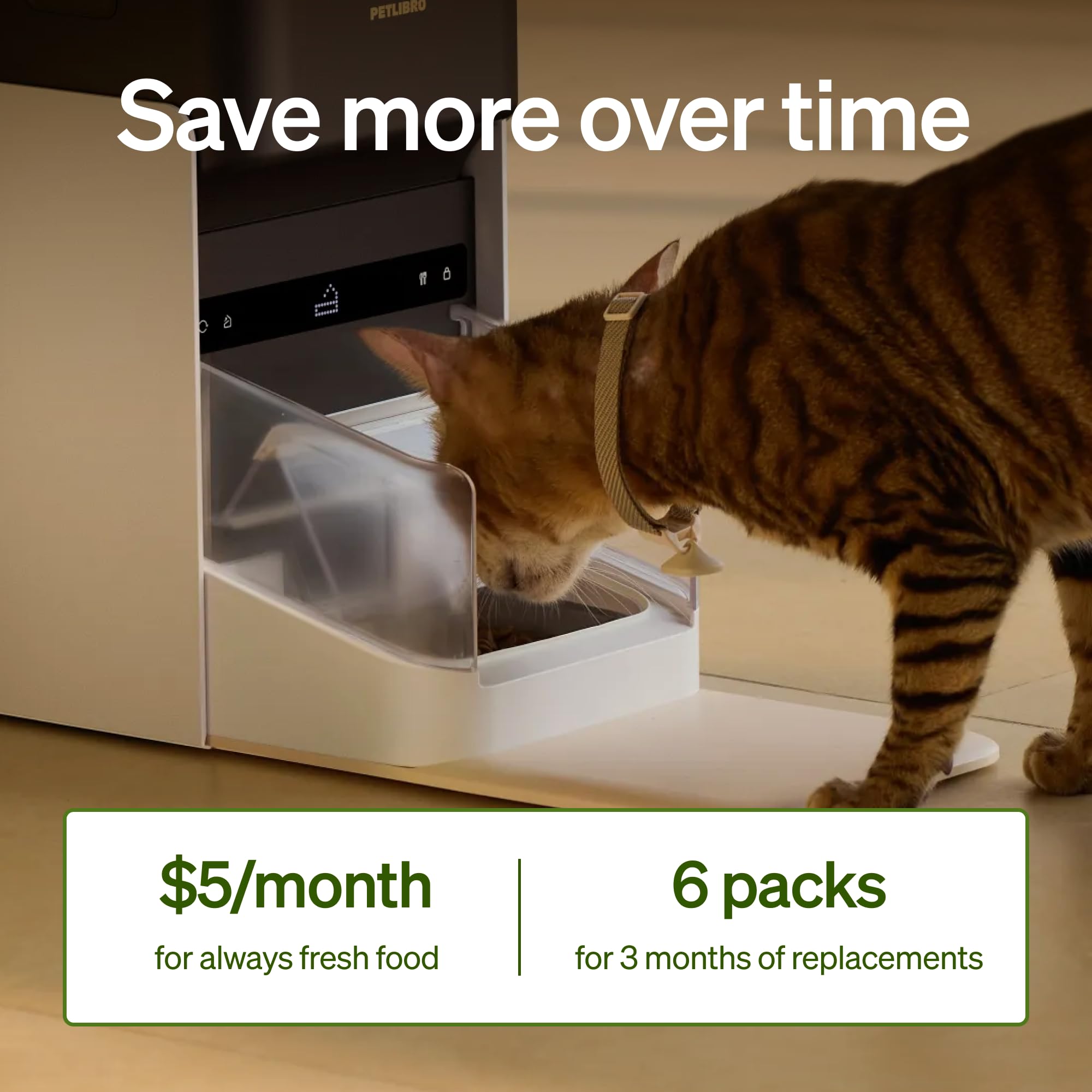 PETLIBRO dry food storage area demonstrates moisture prevention.