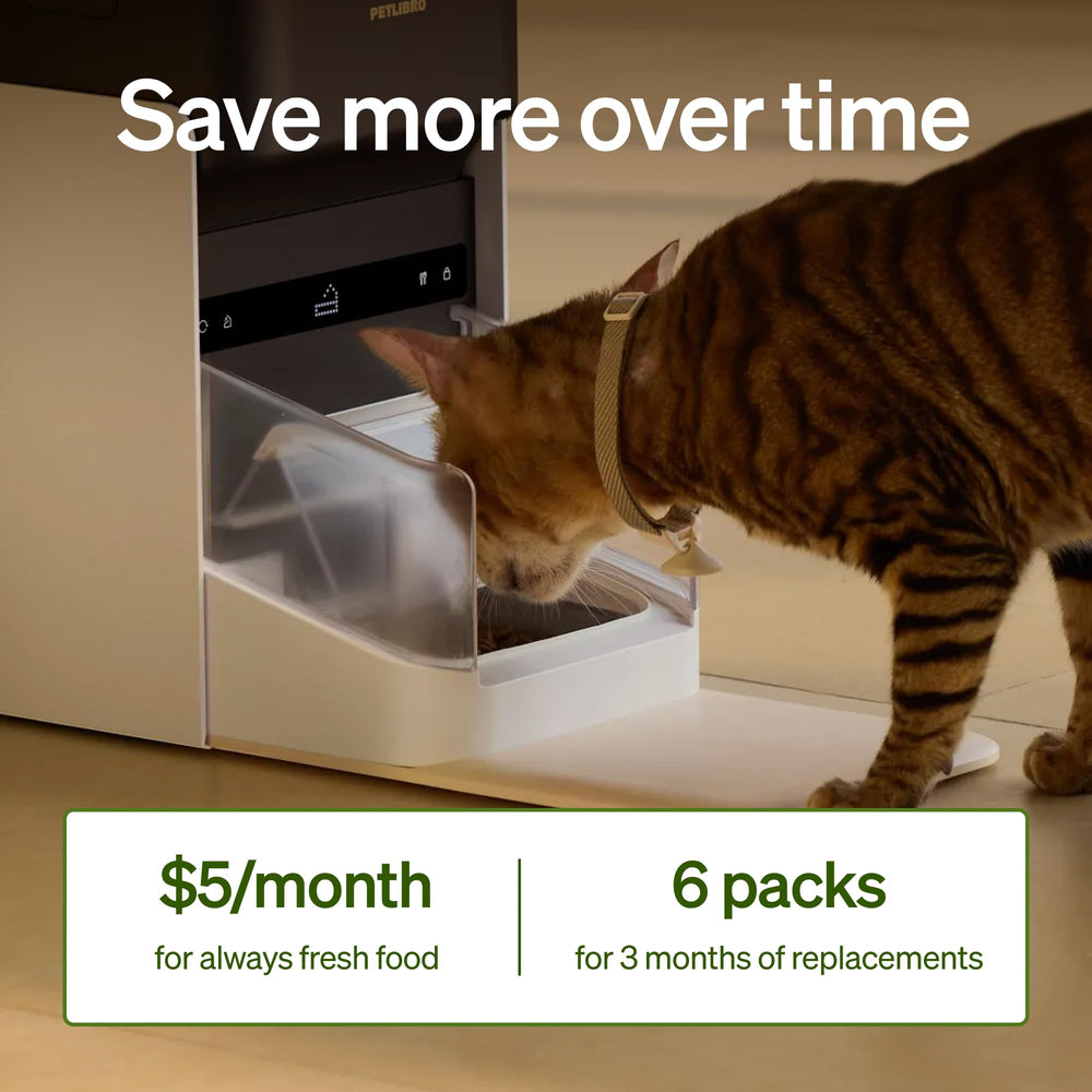 PETLIBRO dry food storage area demonstrates moisture prevention.