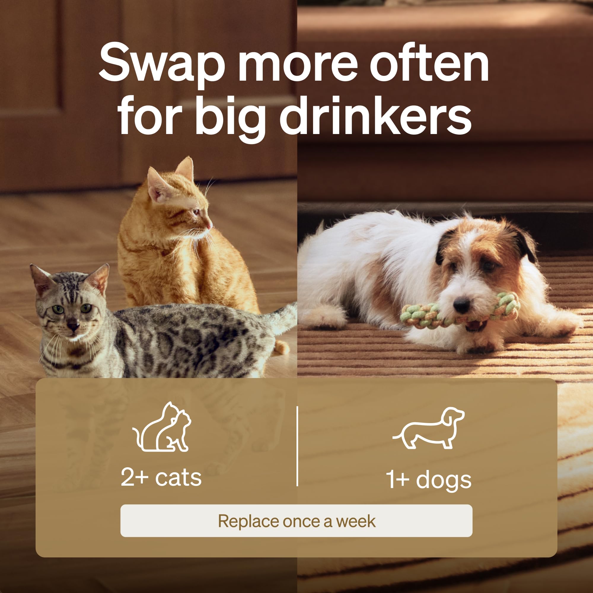 PETLIBRO easy-swap filter removal demonstrating quick maintenance