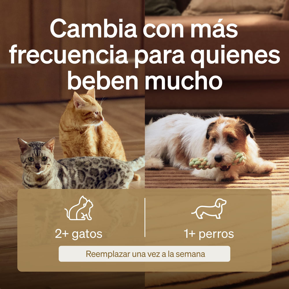 PETLIBRO filter reduces odors and supports fresher hydration in cats.