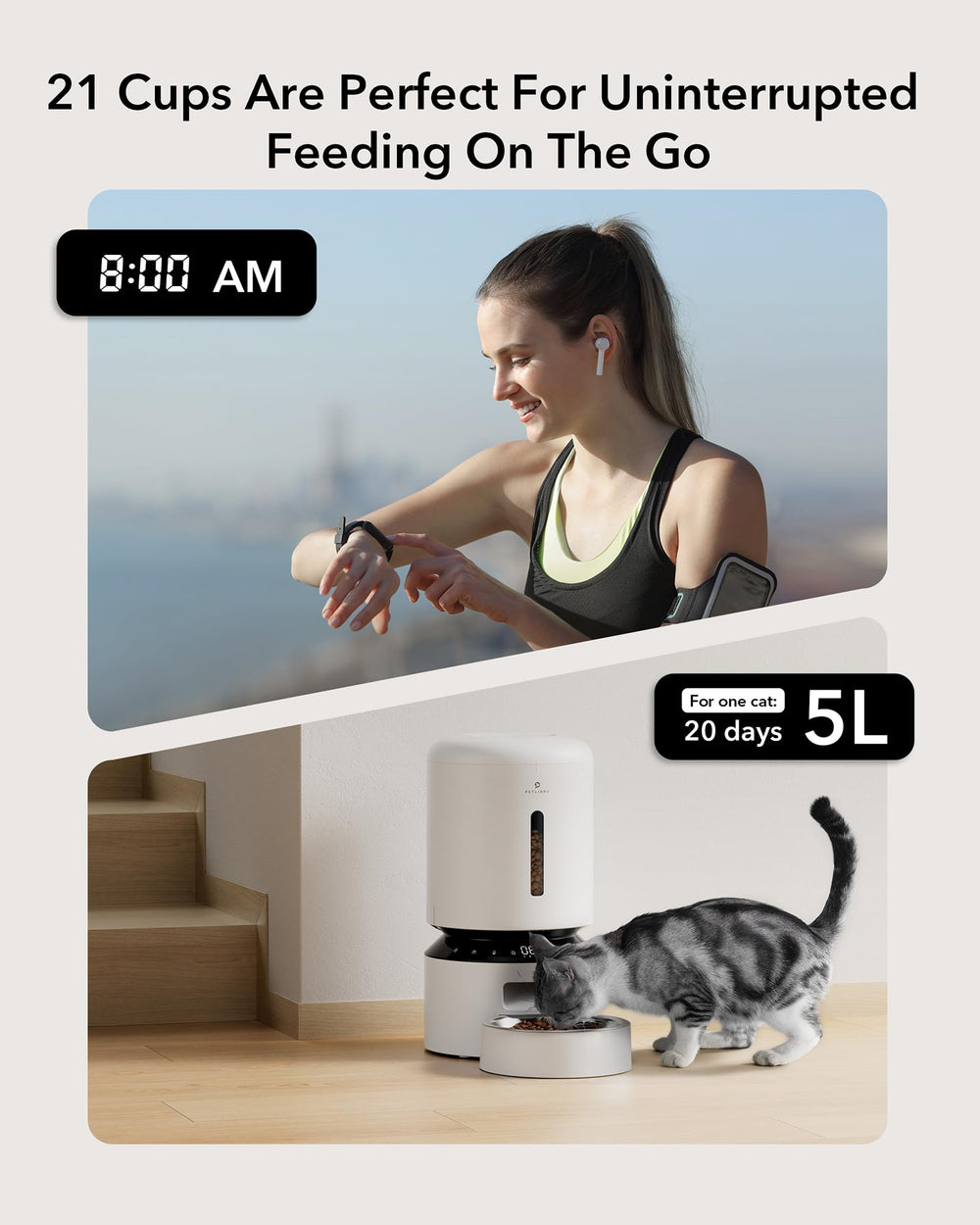 PETLIBRO Granary clear feed window for quick level checks.