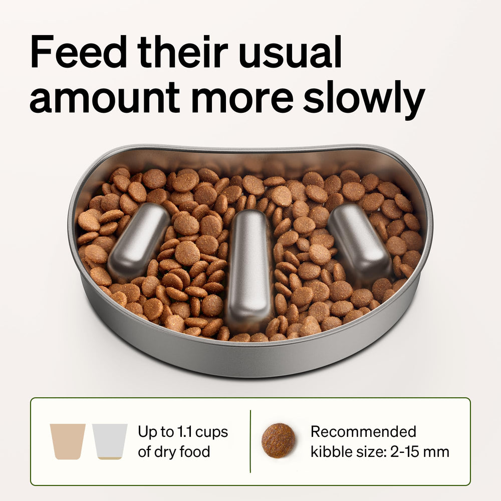 PETLIBRO rugged kitchen-ready bowl blends into home routines for calm feeding.