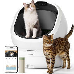 PETLIBRO Luma open-top design for easy entry for larger cats.