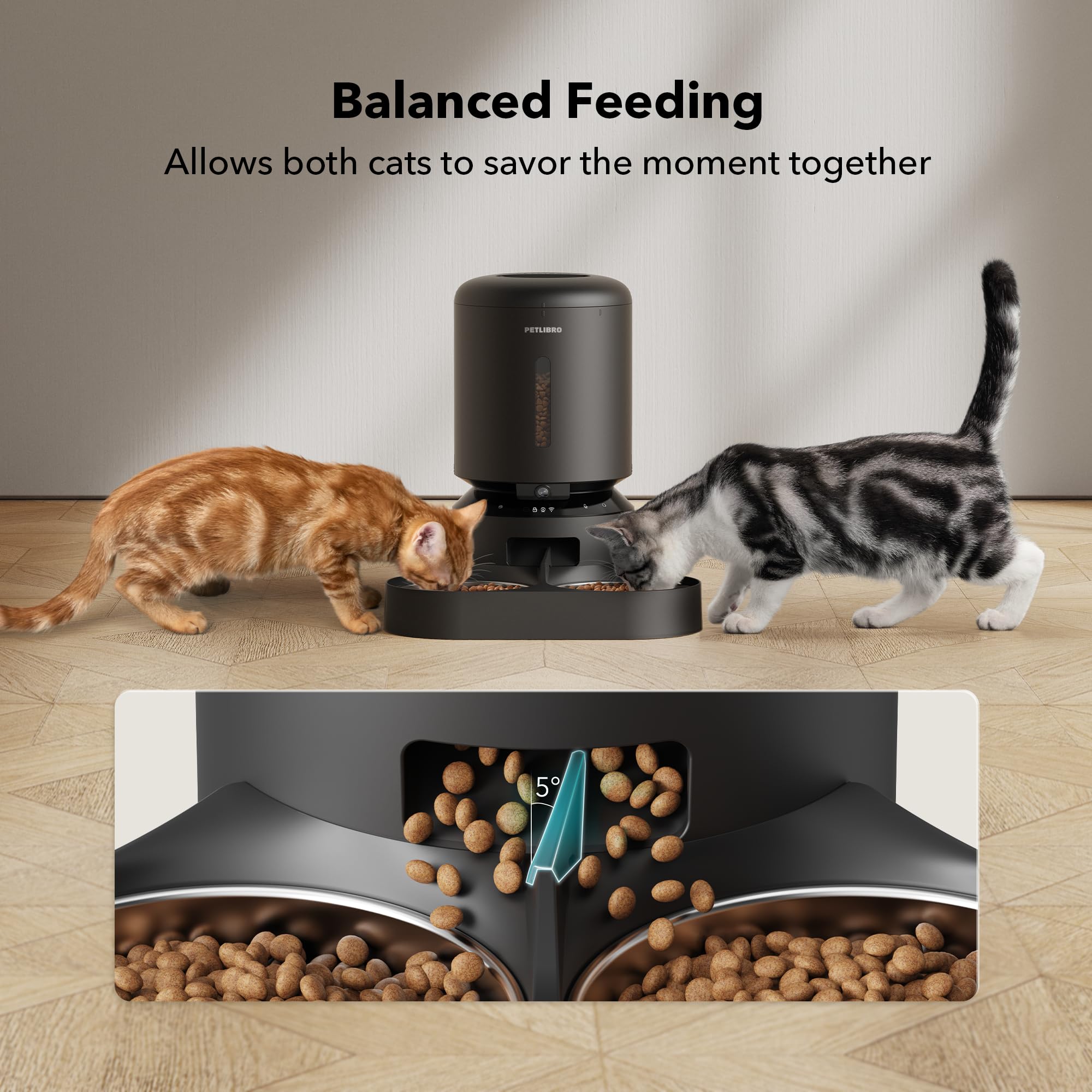 PETLIBRO motion detection alert shown on a smartphone screen.