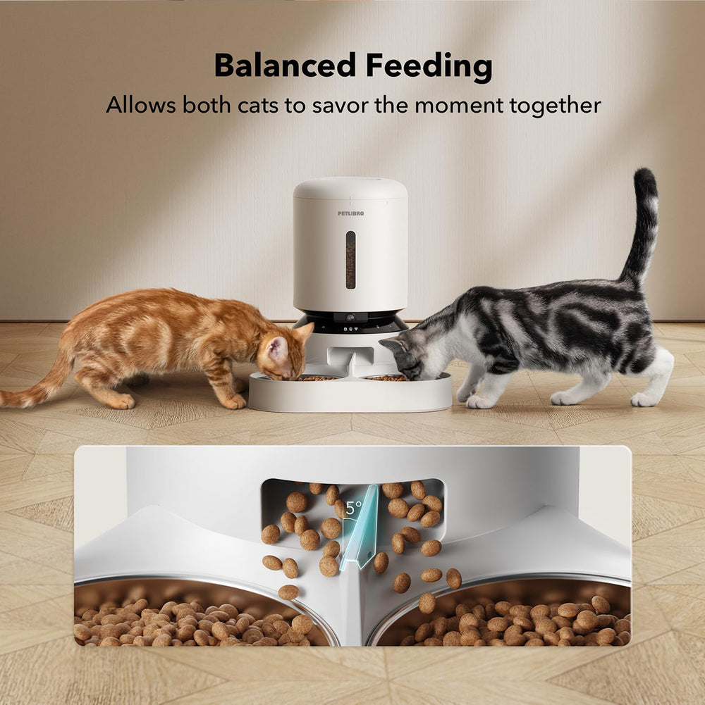 PETLIBRO motion detection alerts sent to your phone.