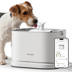 PETLIBRO quiet dog fountain with stainless steel tray for peaceful hydration.