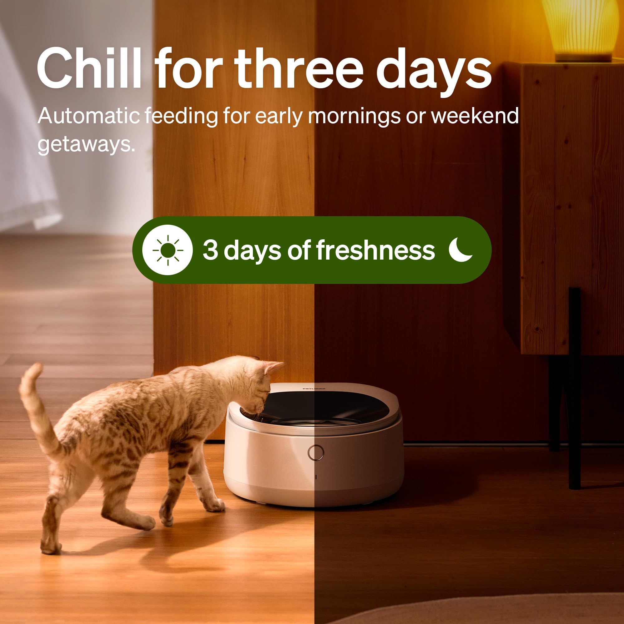 PETLIBRO refrigerated cat feeder using semiconductor cooling to preserve freshness