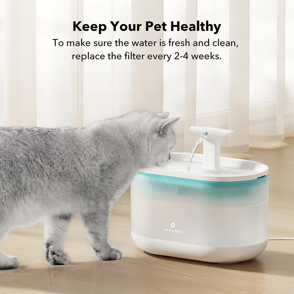 PETLIBRO 4-month filter set supports long-term fountain maintenance.