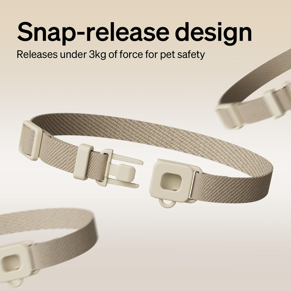 PETLIBRO RFID collar tag with QR code for easy reunions.