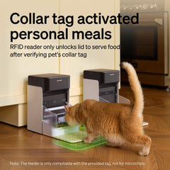 PETLIBRO RFID feeder collar tag close-up highlighting secure feeding access.