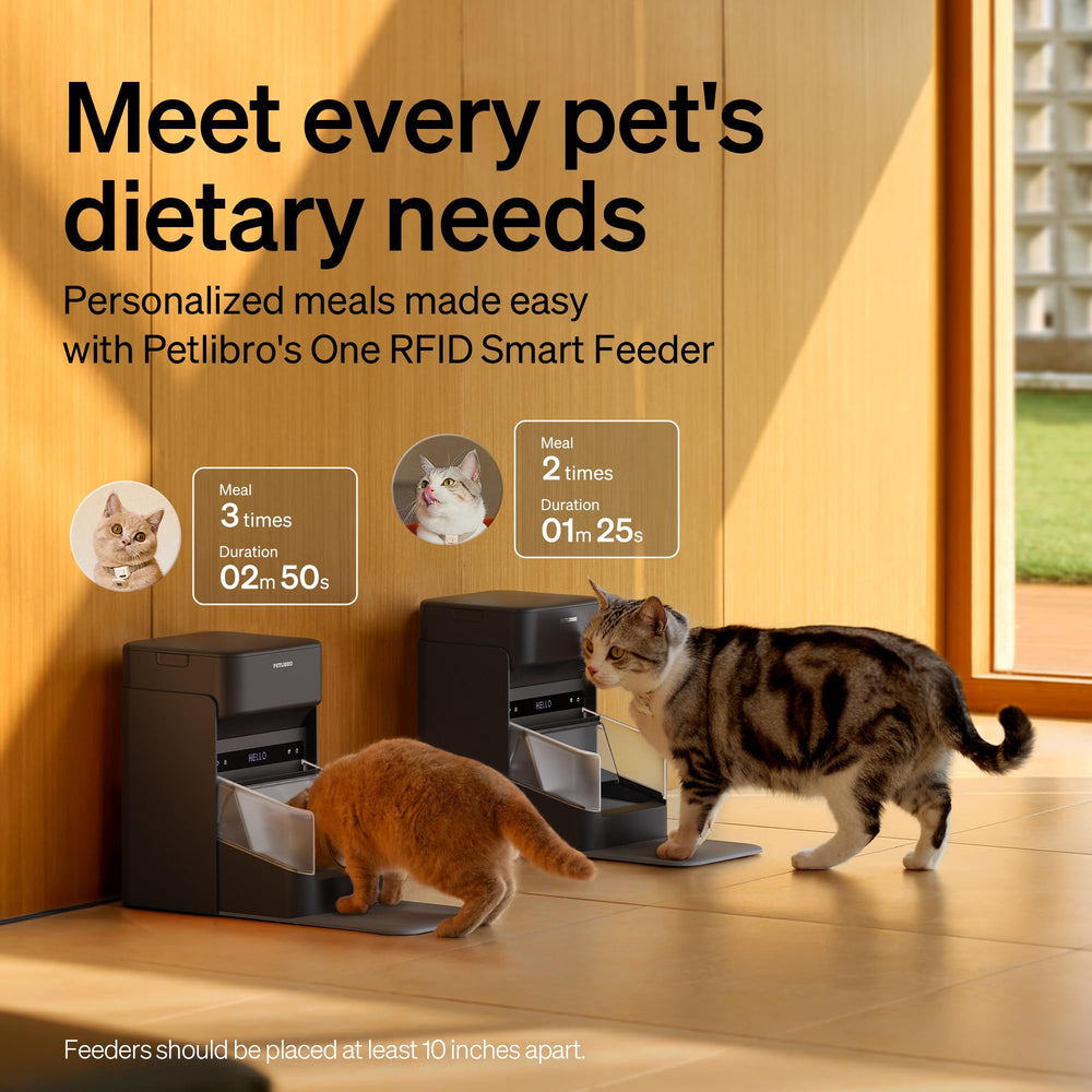 RFID lid and shield protect food from other pets during meals
