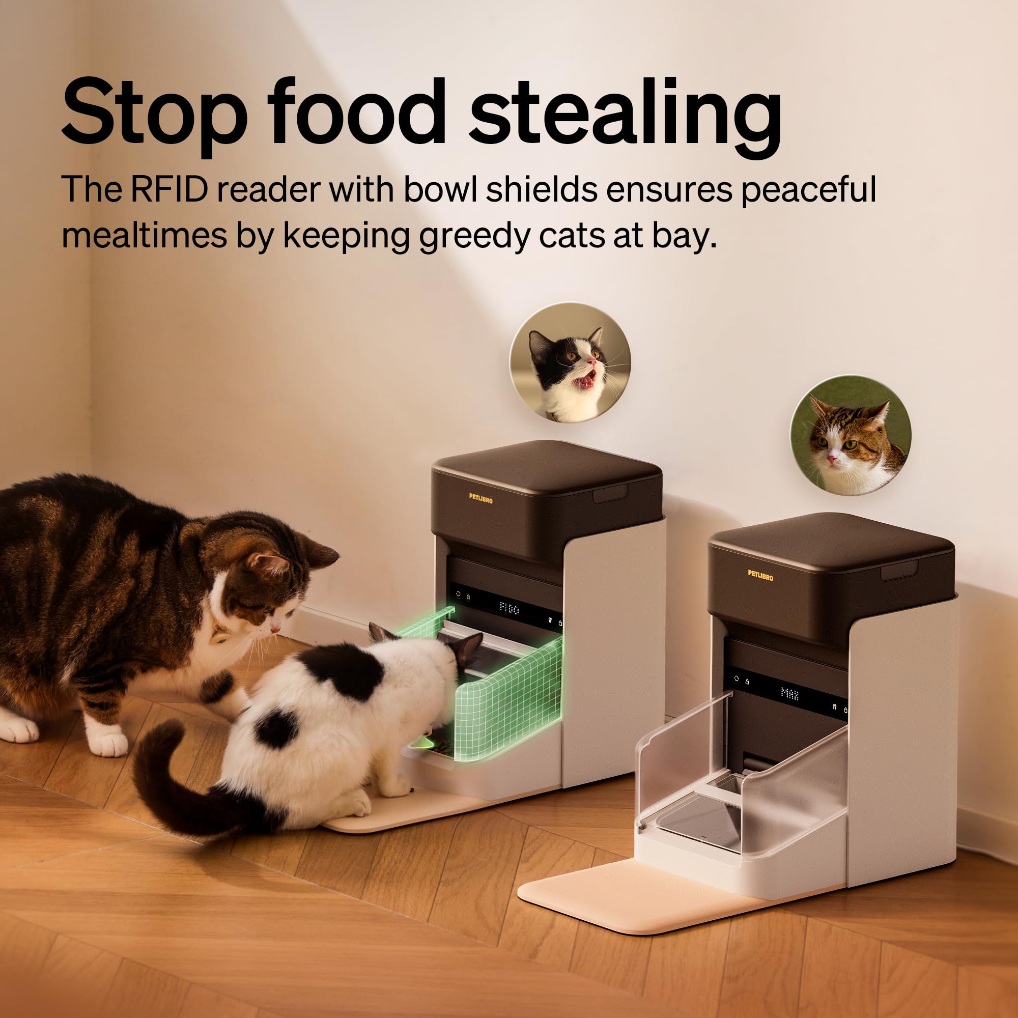 PETLIBRO RFID feeder locking lid prevents food sharing in multi-cat homes.