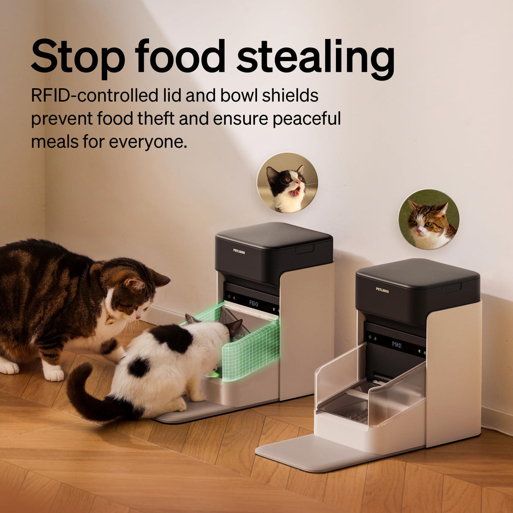 PETLIBRO RFID feeder suited for multiple cats in one home