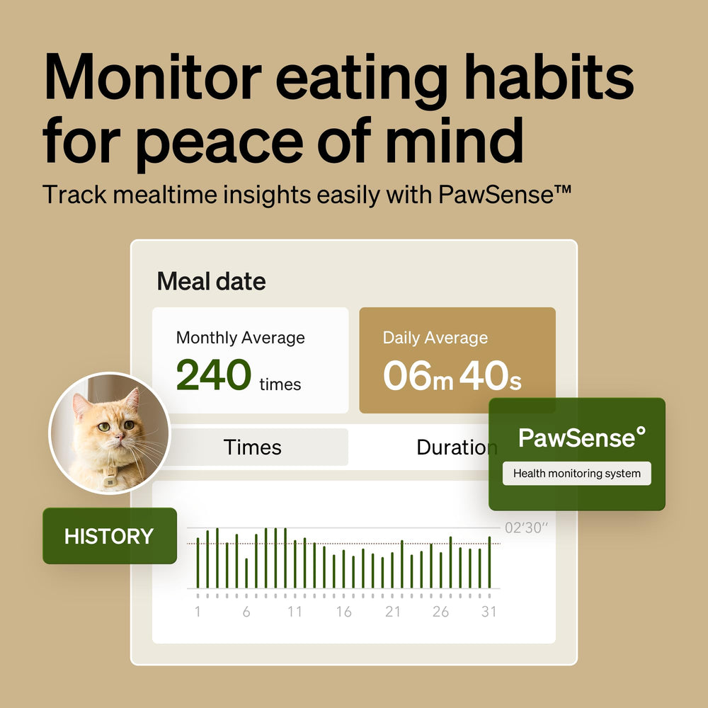 PETLIBRO RFID feeder app on phone displays real-time diet tracking and scheduling.