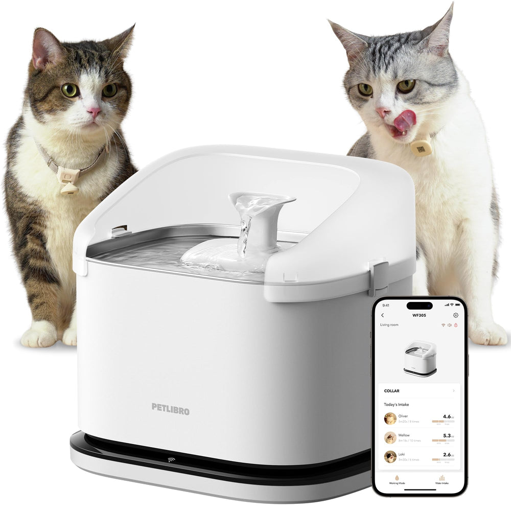 PETLIBRO RFID multi-cat fountain, top view, large 3L tank for multiple pets.