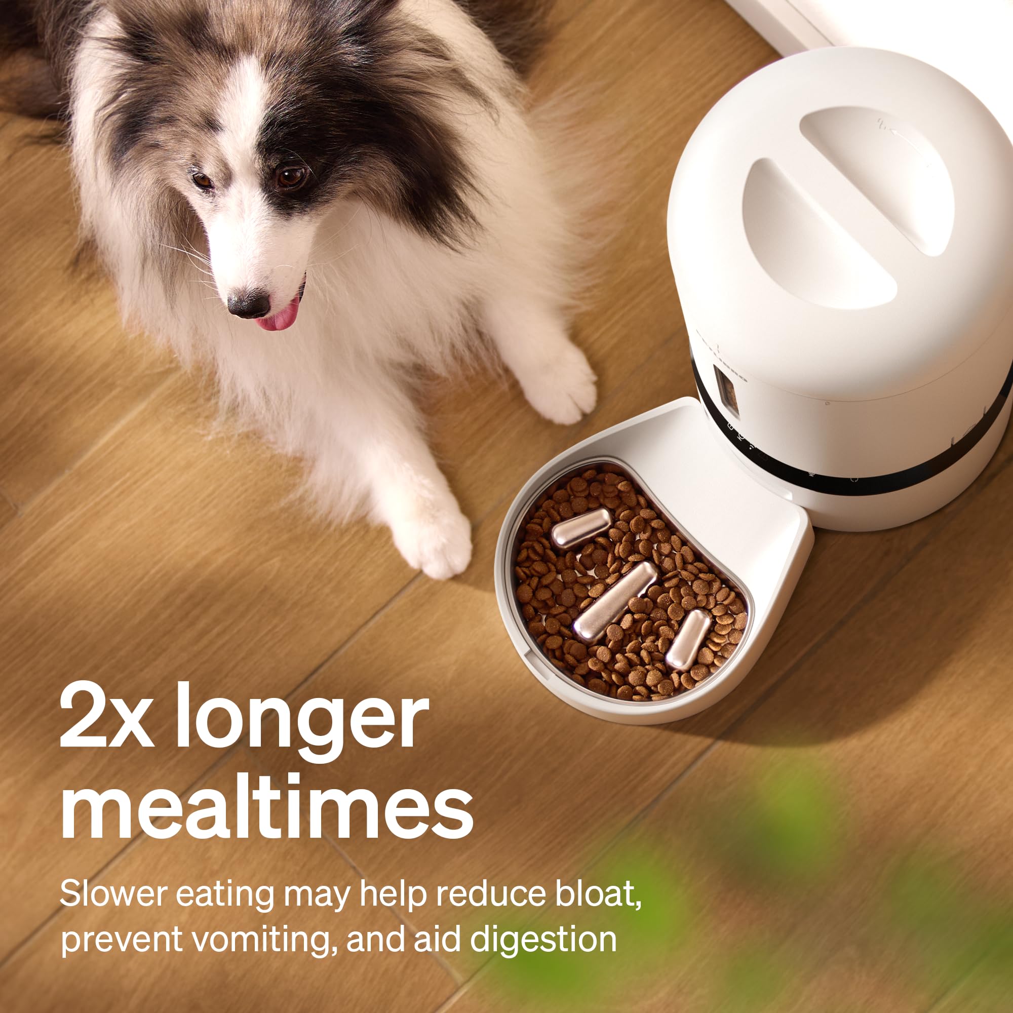 PETLIBRO stainless steel bowl highlights rust-resistant durability for daily use.