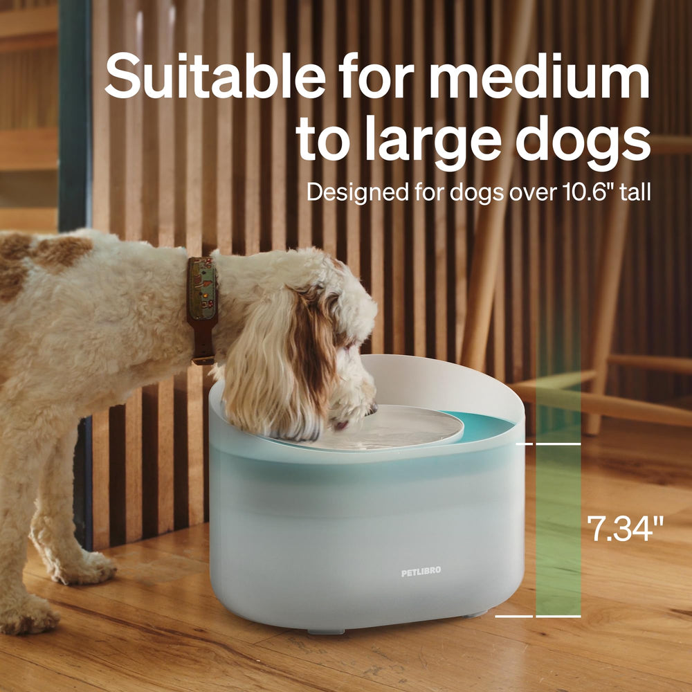 PETLIBRO transparent reservoir water level clearly visible for easy refills.