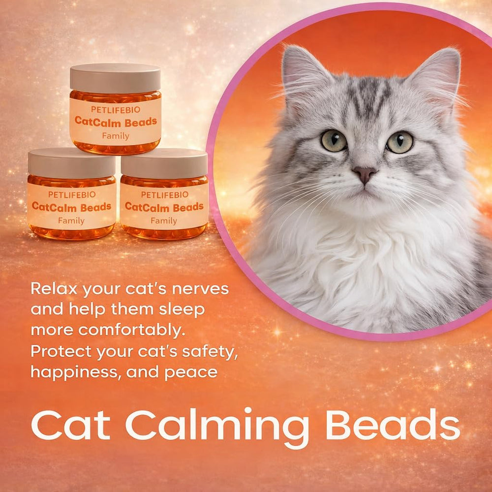 petlifebio Cat Calm Beads two-month coverage visual in a cozy space
