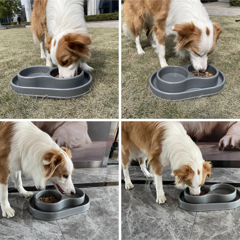 PetLike Ants Away all-in-one feeder keeps meals organized