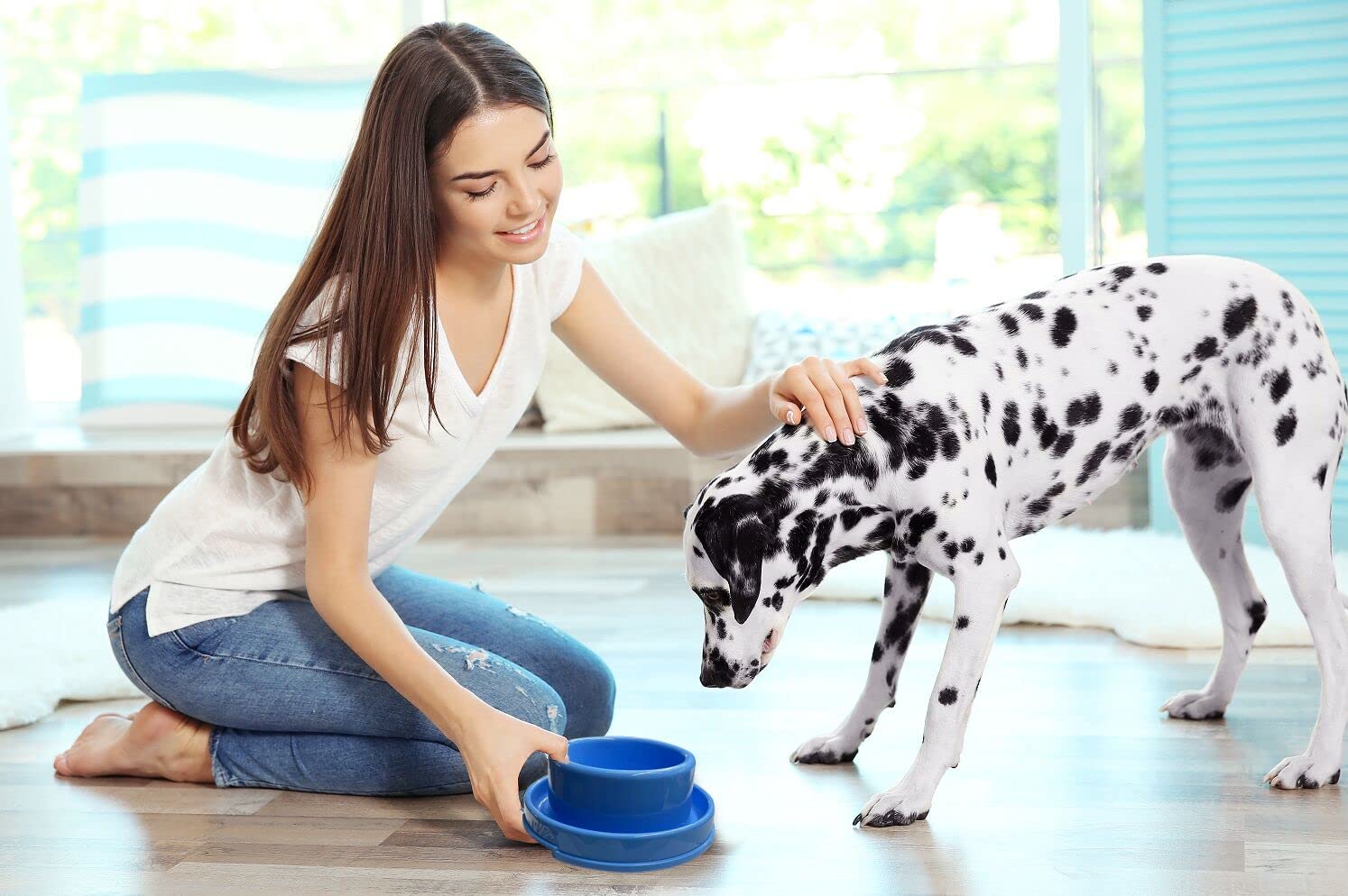 PetLike Ants Away two-bowl set, each 24 oz, for food and water.