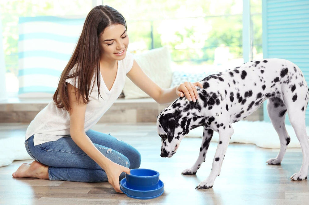 PetLike Ants Away two-bowl set, each 24 oz, for food and water.