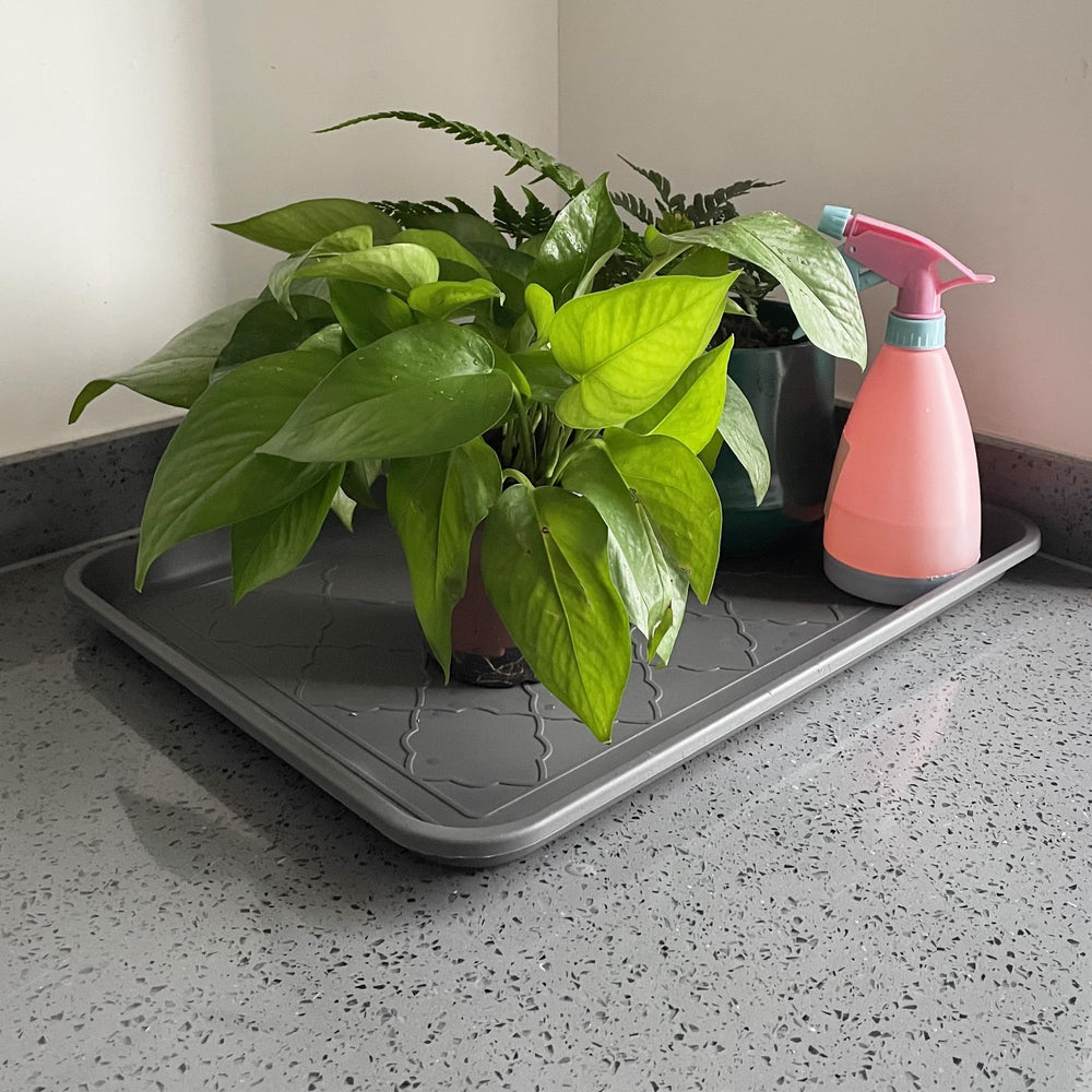 PetLike pet feeding mat keeps bowls stable during meals.