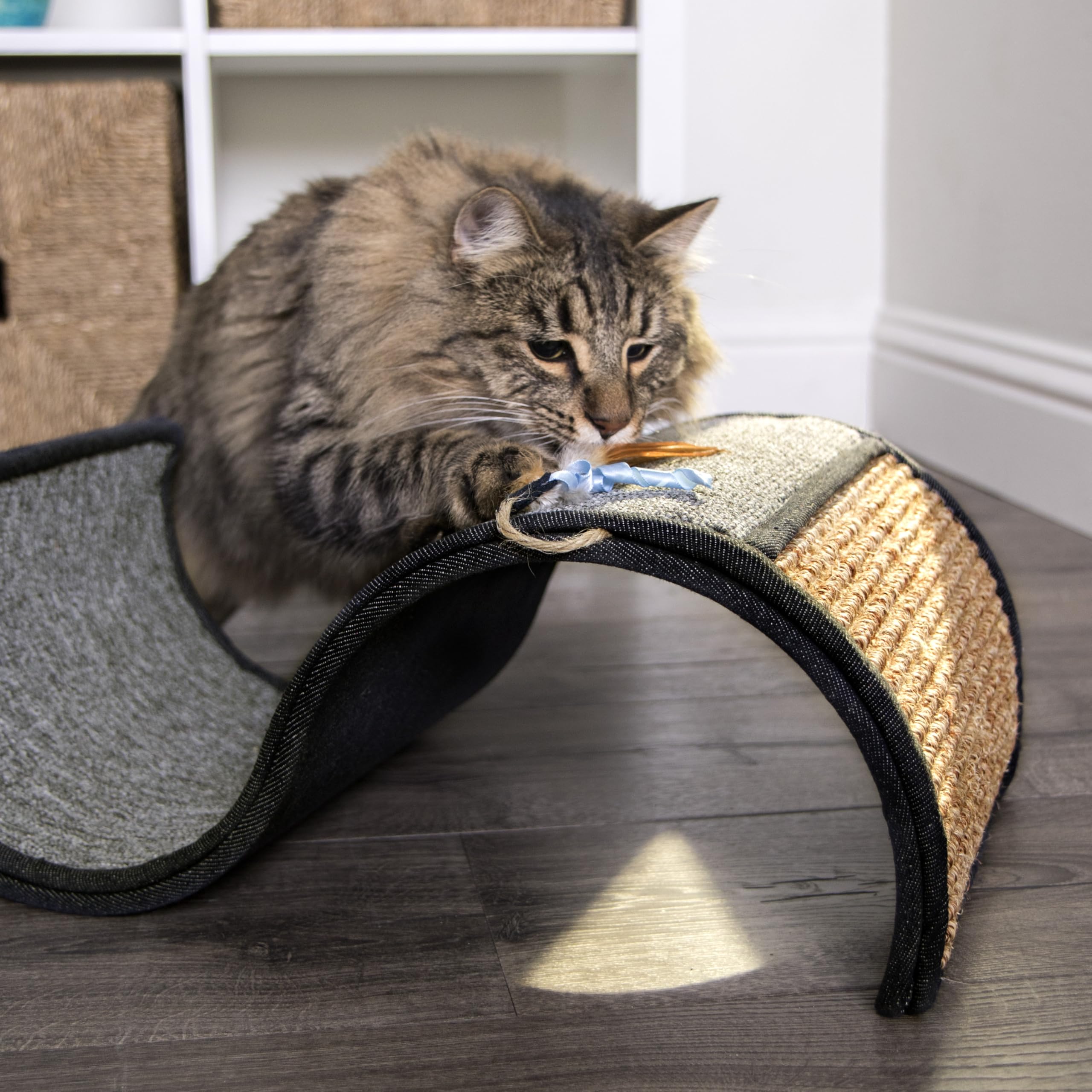 Product dimensions shown for Petlinks Dream Curl scratcher: 17.75 x 11 x 6.5 inches