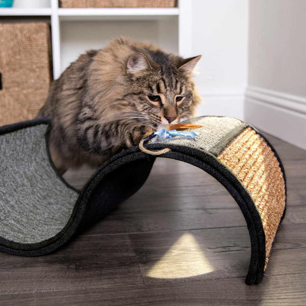 Product dimensions shown for Petlinks Dream Curl scratcher: 17.75 x 11 x 6.5 inches