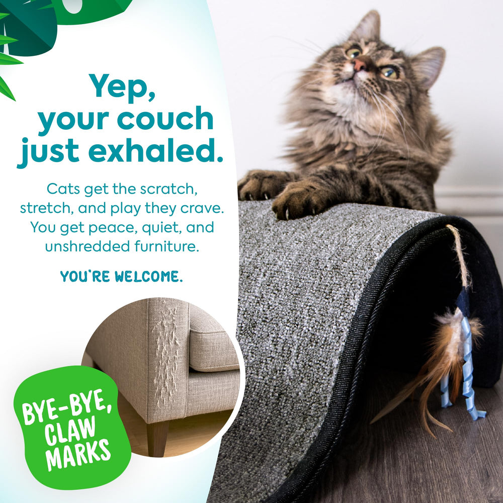 Petlinks Dream Curl in use as a lounging and scratching perch