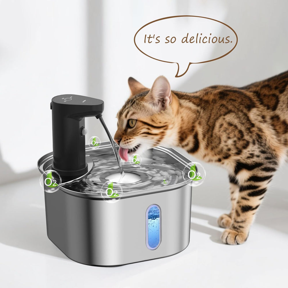 Petlipo activated carbon filtration close-up improves water taste