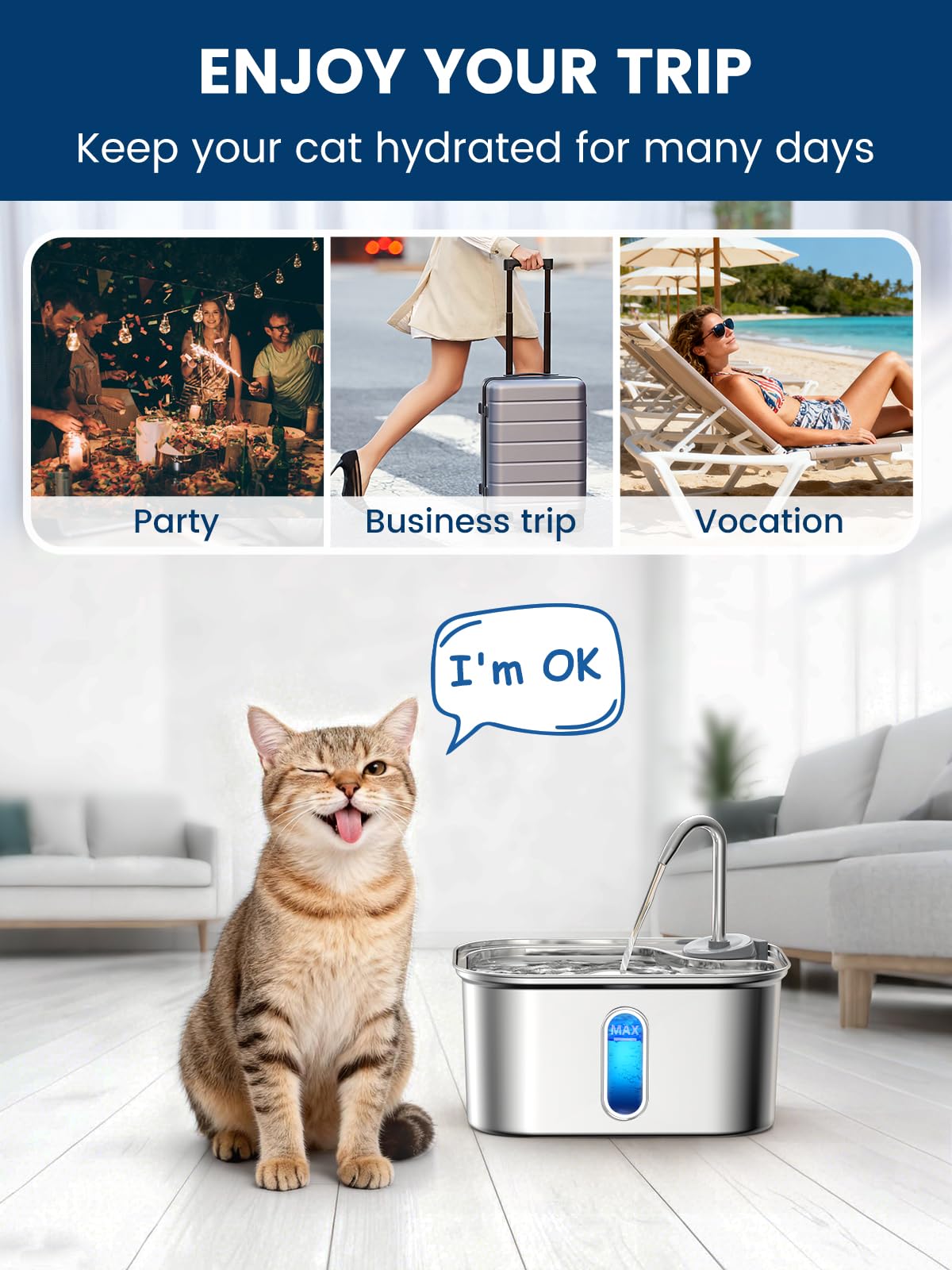 Petlipo modern stainless steel fountain fits any home decor