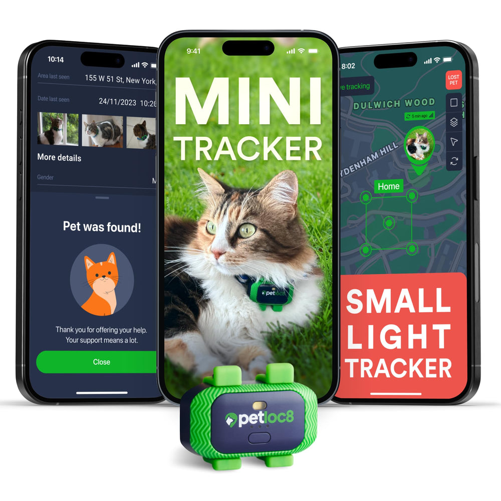 PETLOC8 GPS tracker on a cat collar showing real-time location on screen.