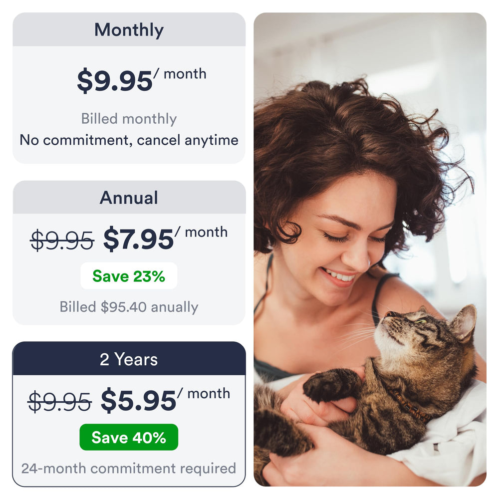 PETLOC8 worldwide SIM provides global coverage for travel with a cat.