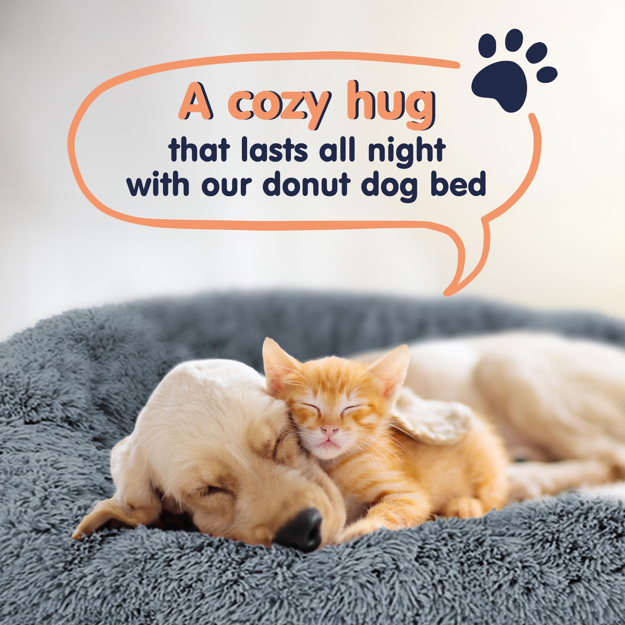 Petloox Donut Bed arrives gift-ready for pet lovers.