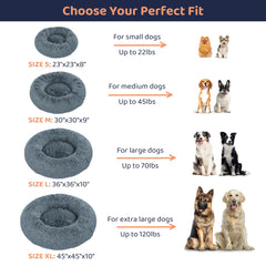 Petloox Donut Dog Bed in dark grey fits modern homes