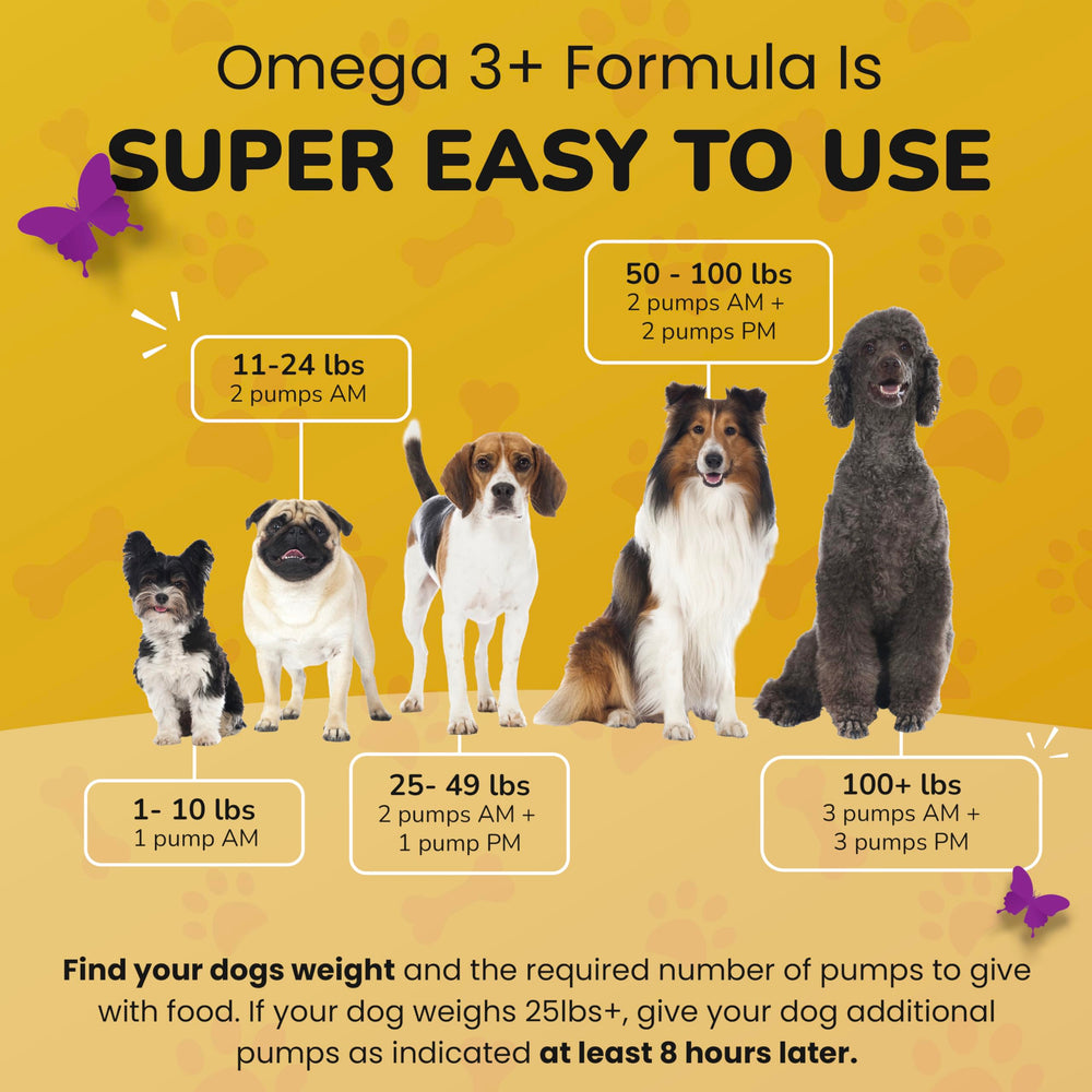 PetMade Omega 3 bottle close-up emphasizing EPA and DHA for coat shine