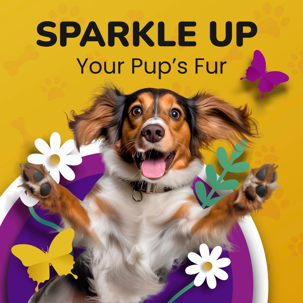 PetMade Omega 3 image showing a dog-friendly formula for picky eaters