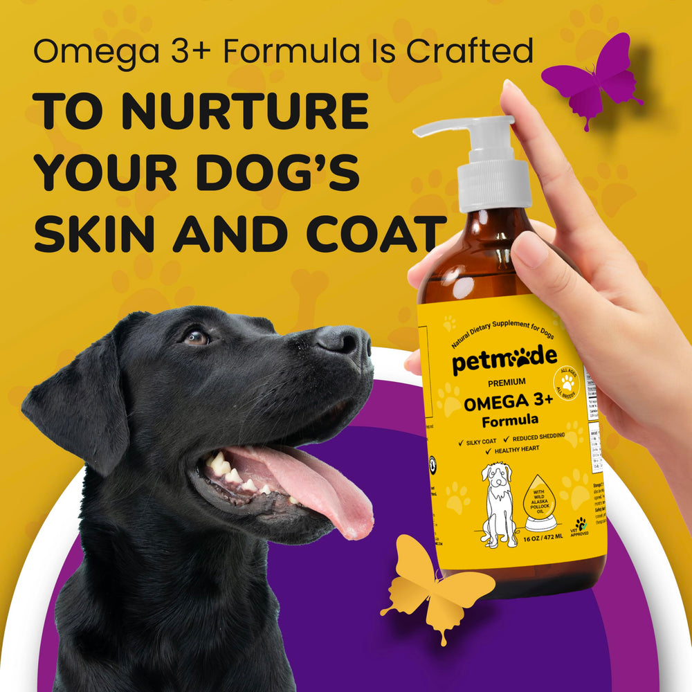 PetMade Omega 3 bottle illustration with vitamins indicating overall wellness
