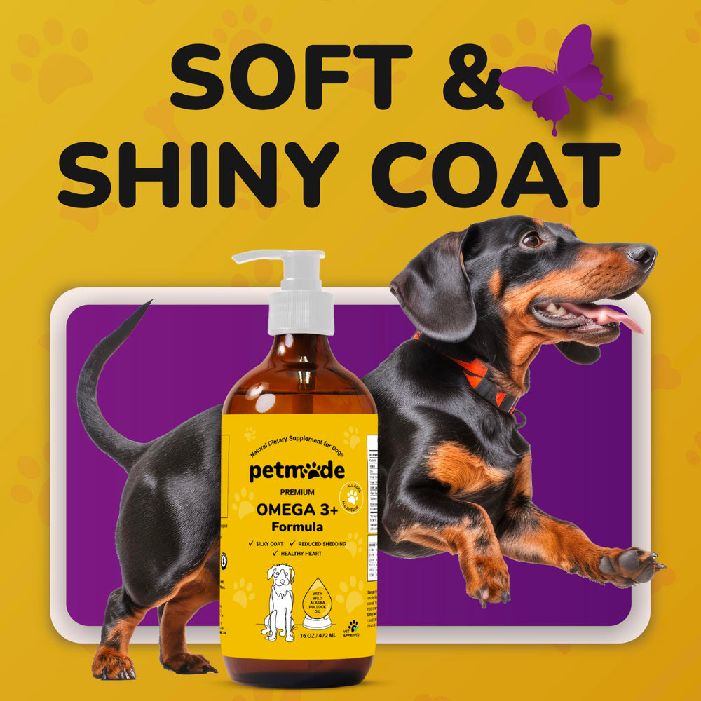 PetMade USA-made label on PETMADE Omega 3 bottle signaling quality
