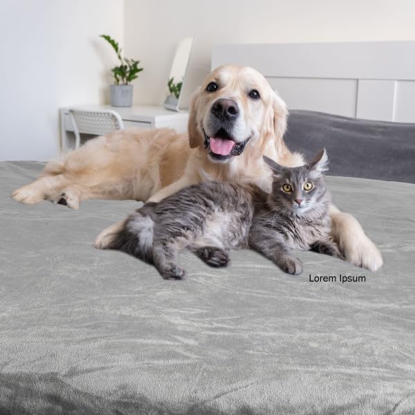 PETMAKER 60 by 50 inch blanket provides ample coverage for large dogs.