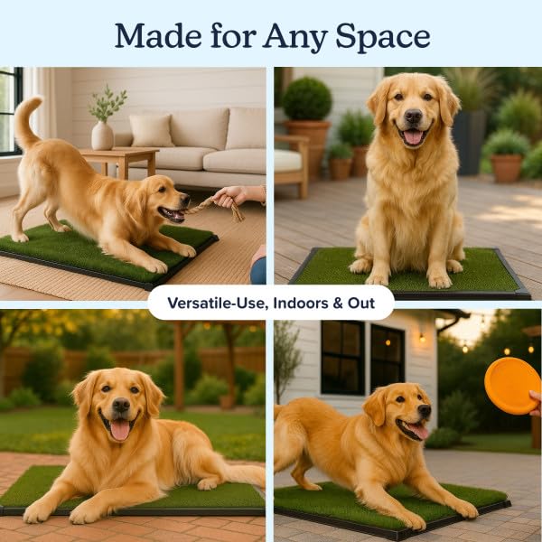 PETMAKER apartment-use scenario shows versatile indoors training solution