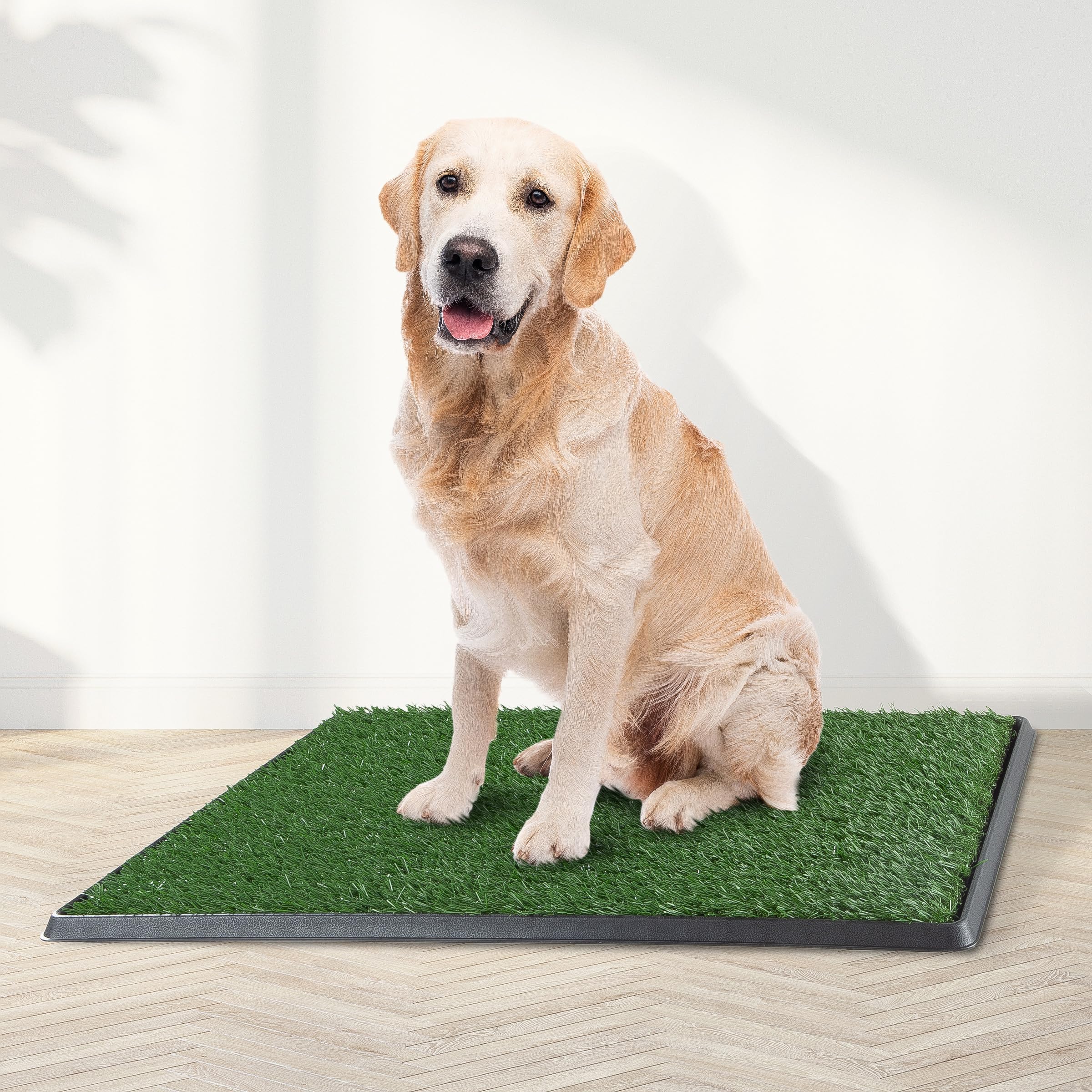 PETMAKER grass turf close-up showing realistic texture for natural potty cues.