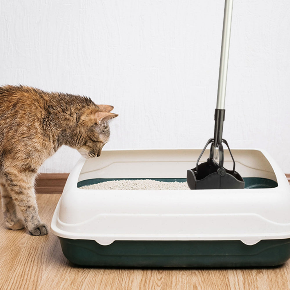 PETMAKER versatile tool for walks, parks, backyards.