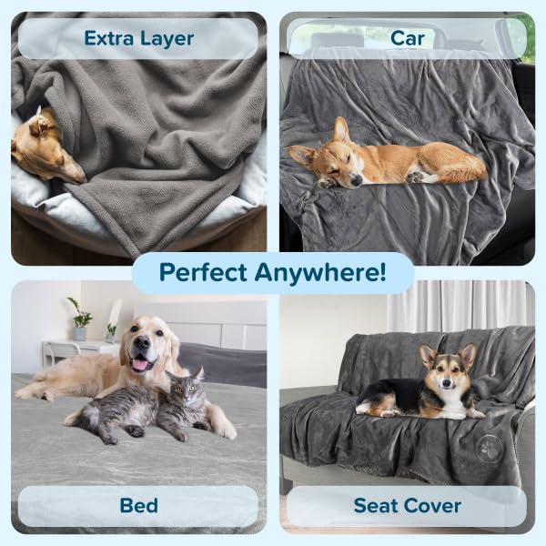 PETMAKER car-travel blanket protects seats during trips.