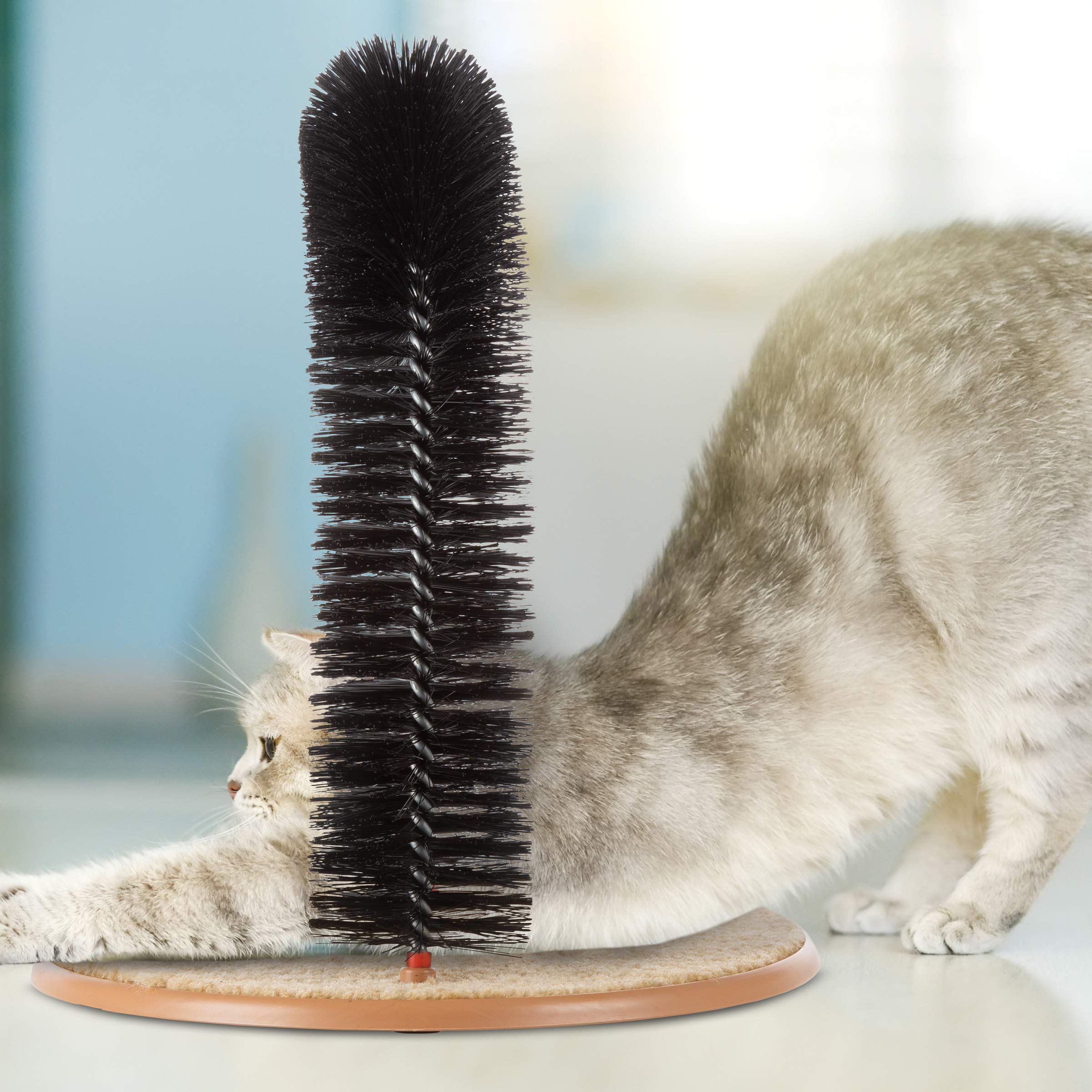 PETMAKER Cat Arch easy assembly without tools for quick setup.