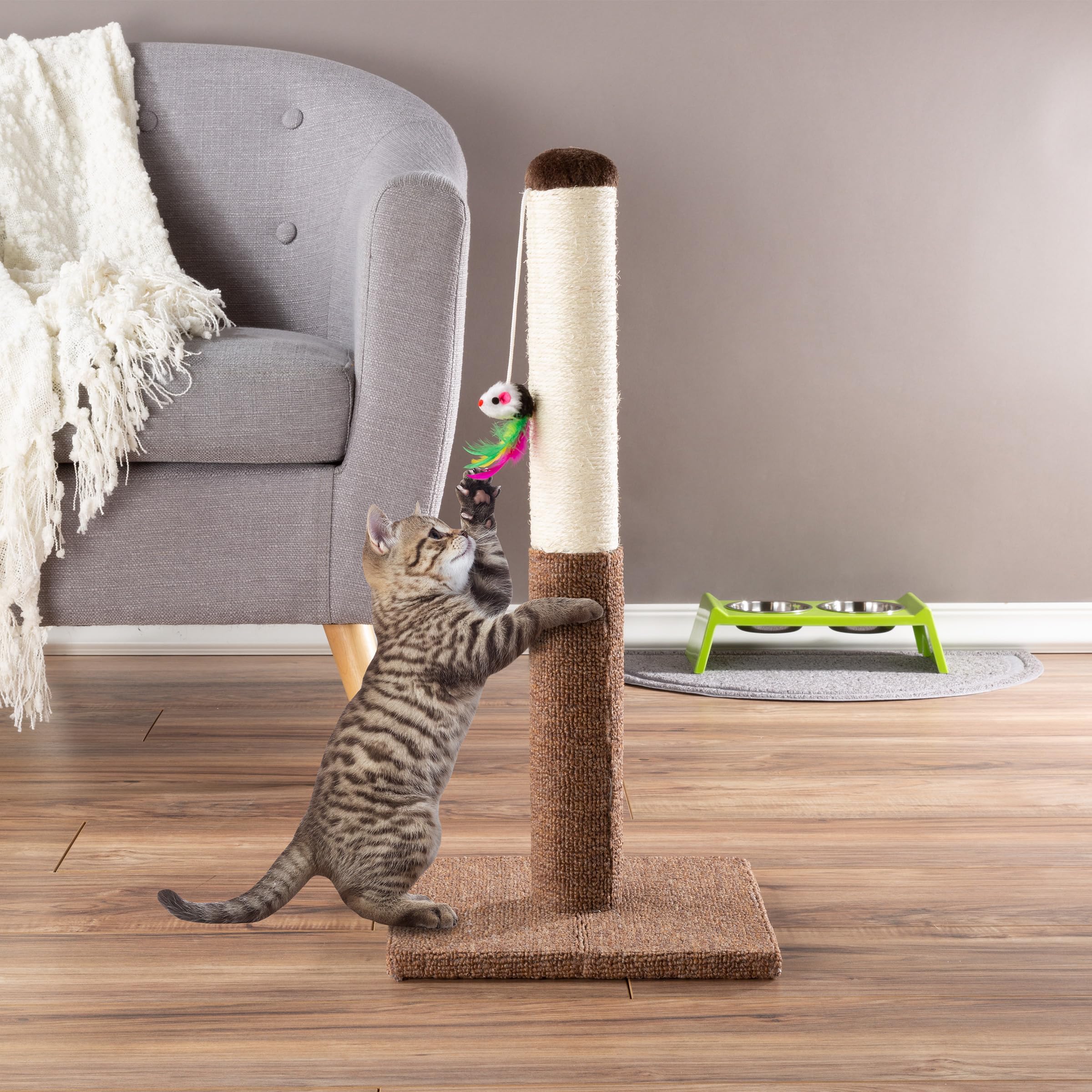 PETMAKER assembly-friendly design lets you set up quickly.