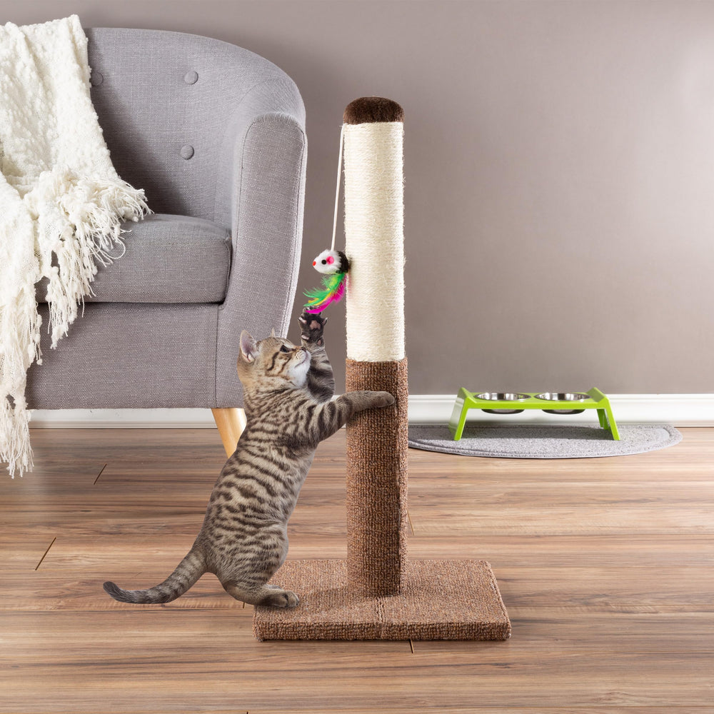 PETMAKER assembly-friendly design lets you set up quickly.