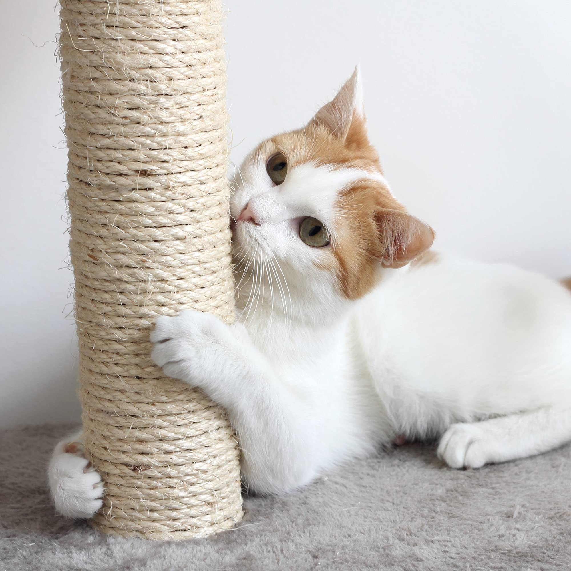 PETMAKER plush carpeted perch offers a cozy rest after play