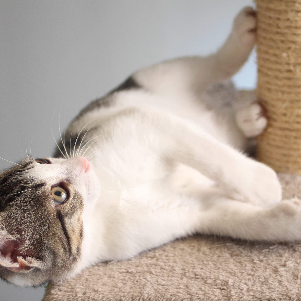 PETMAKER sturdy indoor post in use deters furniture scratching